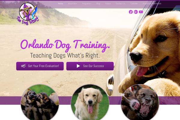 Uxi theme site design template sample