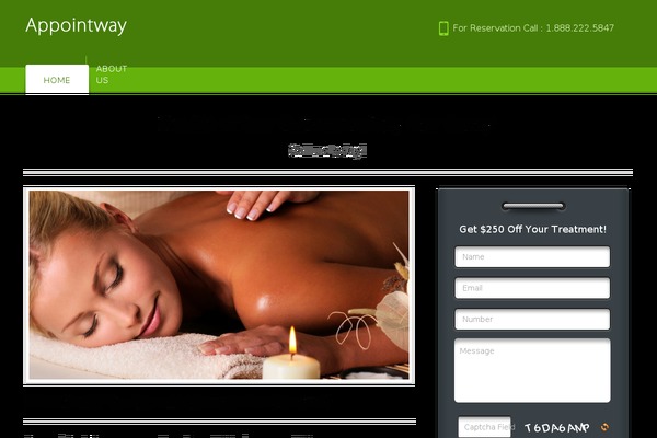 AppointWay theme site design template sample