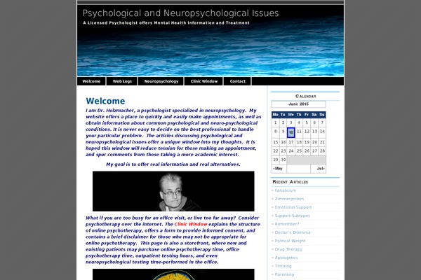magicblue theme site design template sample