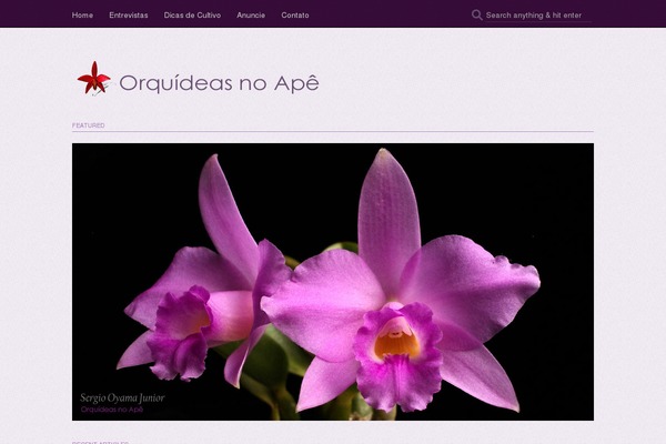 svelte theme websites examples