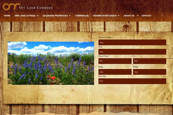 Site using dsIDXpress IDX Plugin plugin
