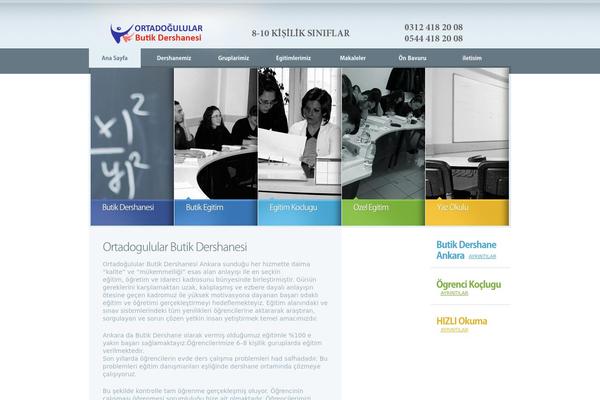 Tema2 theme site design template sample