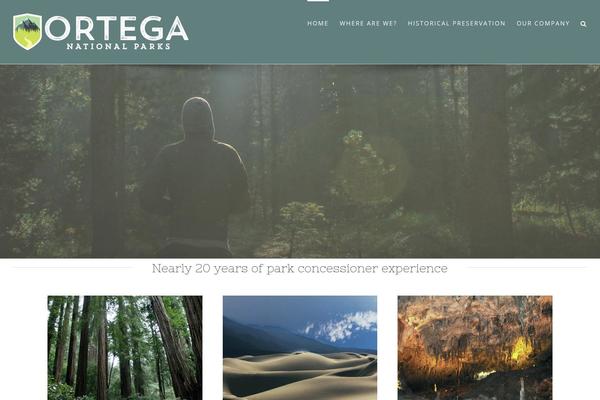 application theme site design template sample