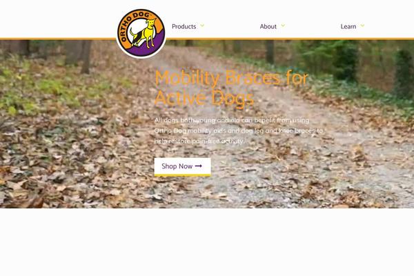 Site using Wp-popups-lite plugin