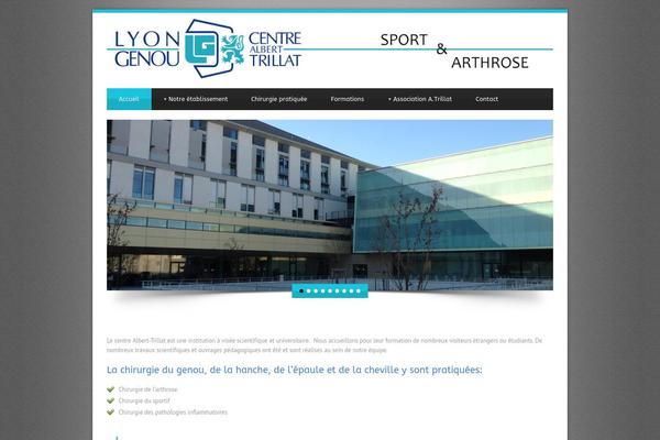 Blue Diamond theme site design template sample