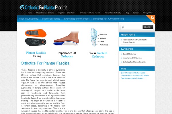 Colorbold theme site design template sample