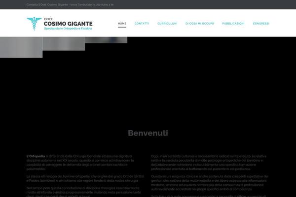 The-core-child theme site design template sample