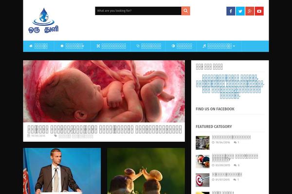 SociallyViral theme site design template sample