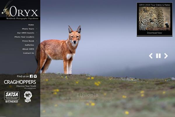 PhotoReactive theme site design template sample
