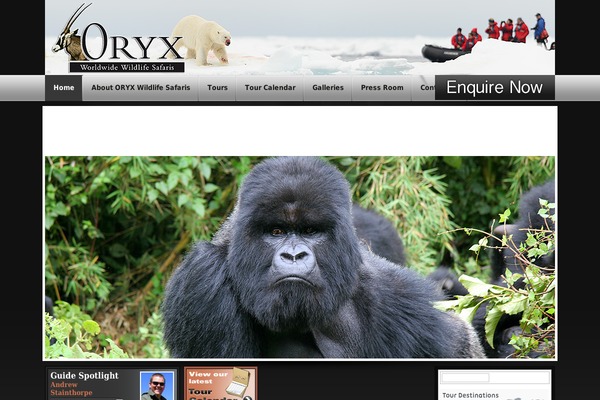 Site using Linguise plugin