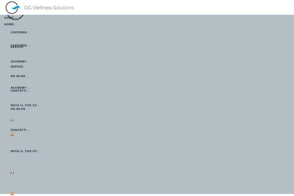 Reina theme site design template sample