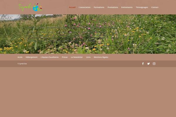 Divi theme site design template sample
