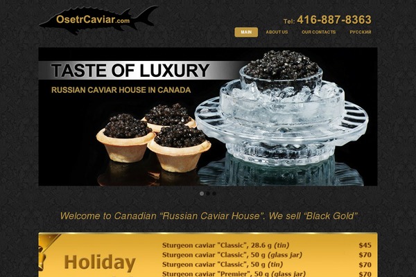 Bizco theme site design template sample