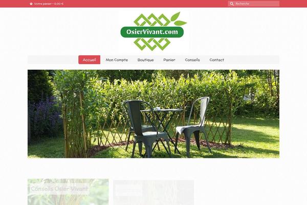 Virtue Premium theme site design template sample