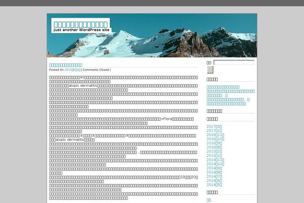 Silver Quantum theme site design template sample