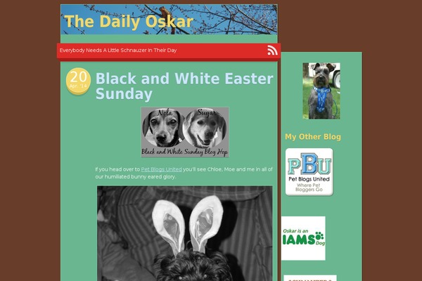 Next Saturday theme site design template sample