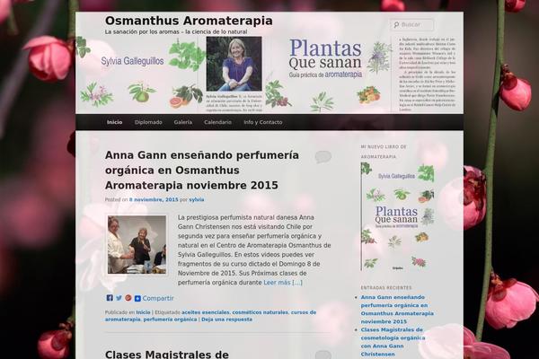 Twentyeleven-child theme site design template sample