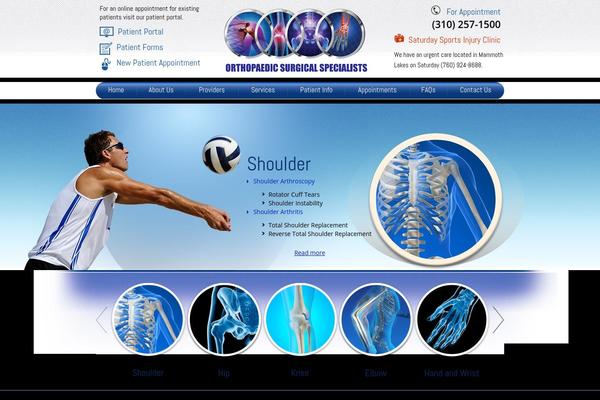 YPO theme site design template sample
