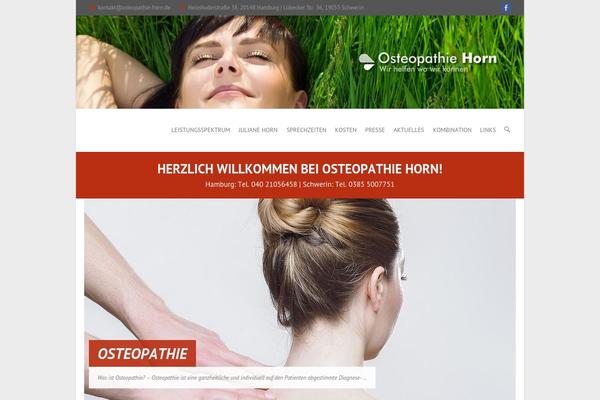 Interface Pro theme site design template sample