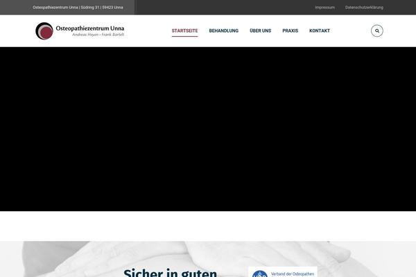 Bizix theme site design template sample