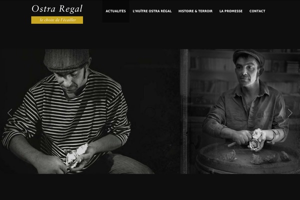 Elision theme site design template sample