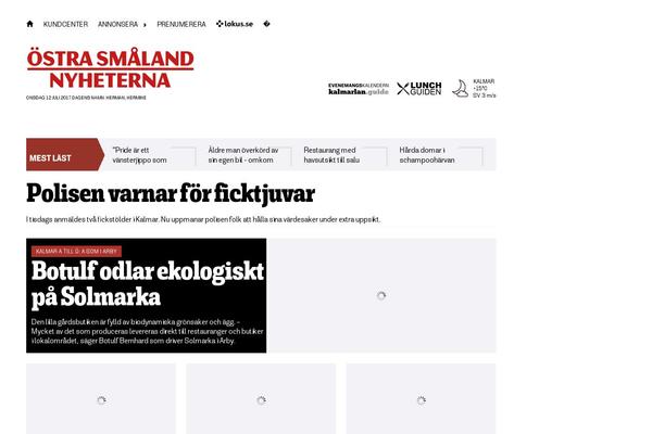 ostran theme websites examples