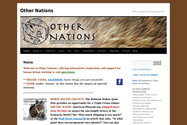 Discovery theme site design template sample