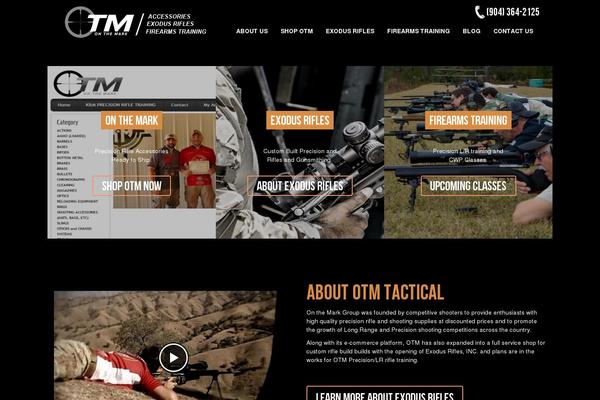 Vision theme site design template sample