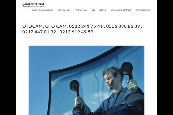 Chicago theme site design template sample
