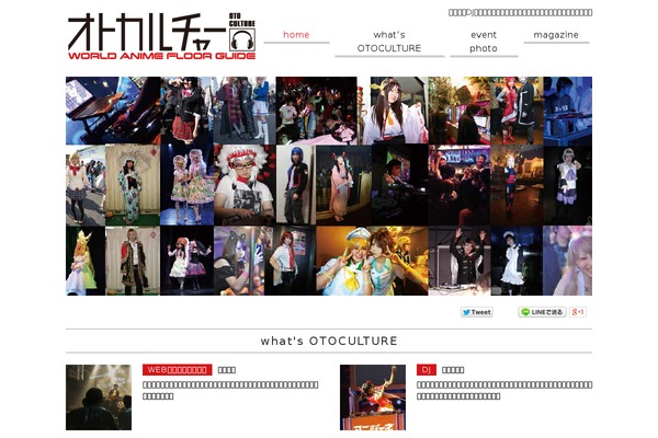 Site using Easy FancyBox plugin