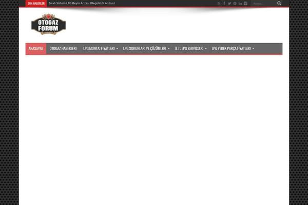 Site using Tumblr Blog Display plugin