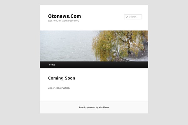 without-noise-theme WordPress theme, websites list used without-noise-theme theme without-noise-theme theme websites examples