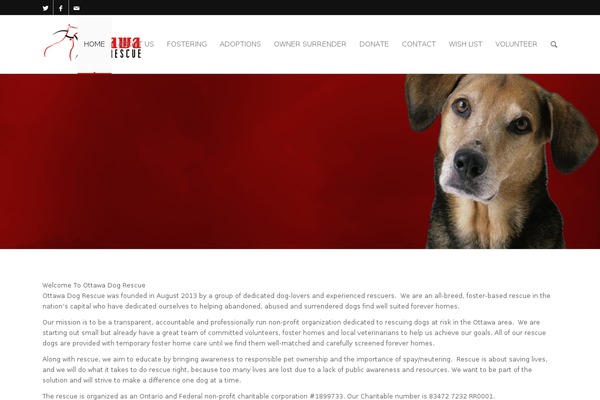 otowndogrescue.com site used Otowndogrescue