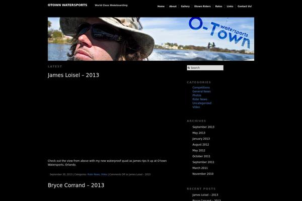 Pro theme site design template sample