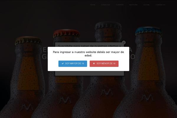North theme site design template sample