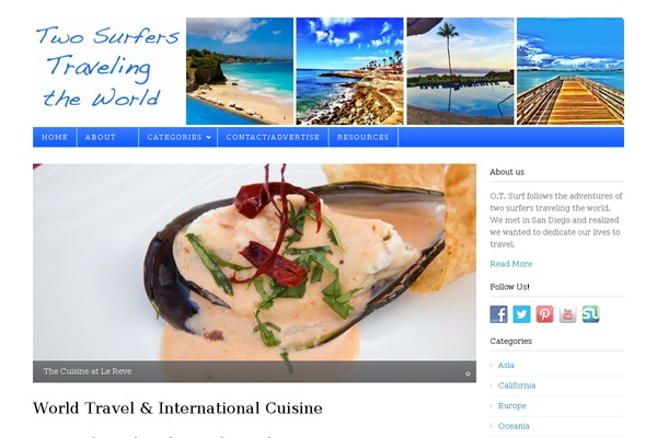 Classy theme site design template sample