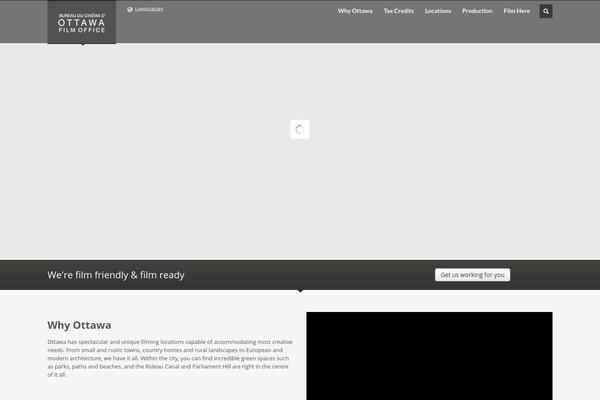 Site using Advanced-twitter-feed-integration plugin