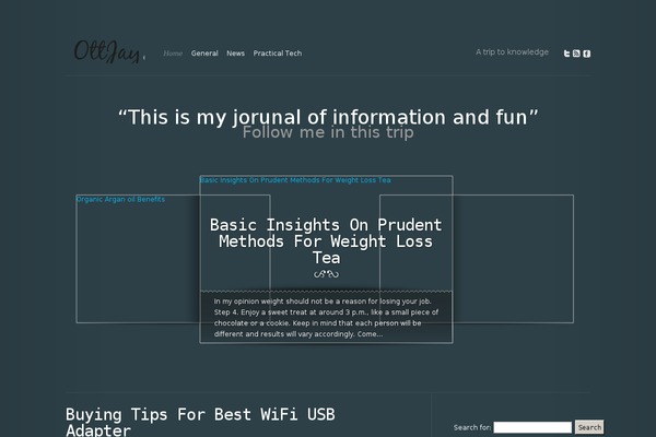 Modest theme site design template sample