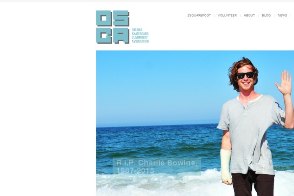 Site using Brankic Twitter Widget plugin