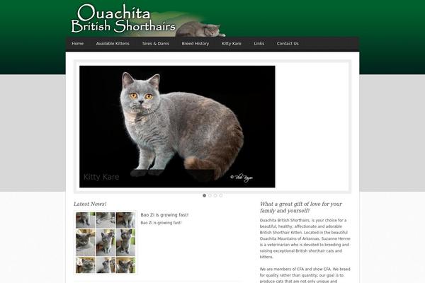 Site using Dynamicconditions plugin