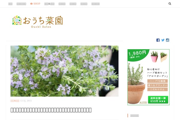 Site using VK Post Author Display plugin