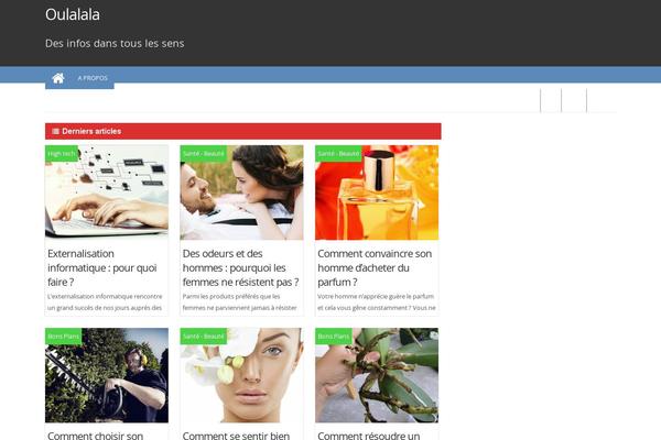 ProMax theme site design template sample