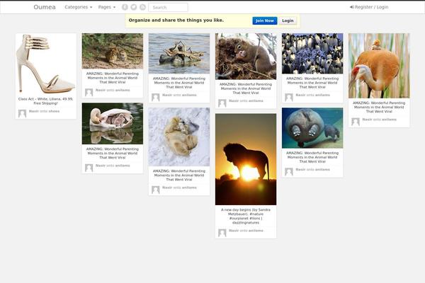 iPin Pro theme site design template sample