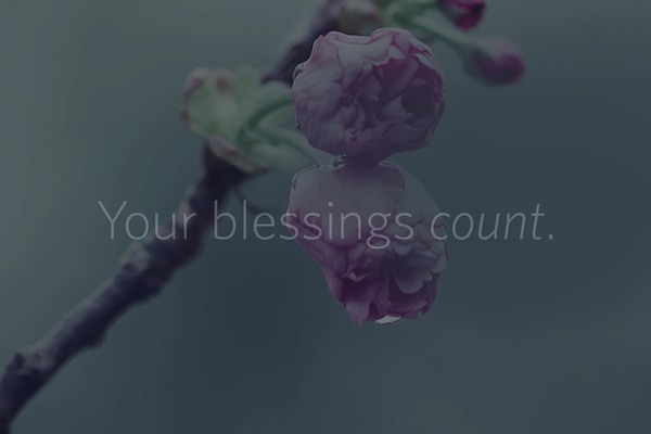 ourblessingscount.com site used Blessings