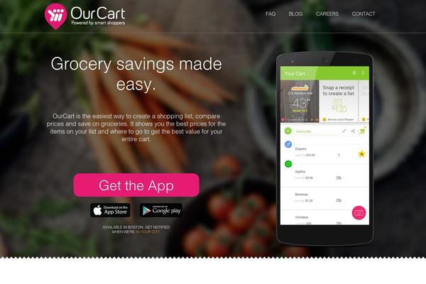 Ray theme site design template sample