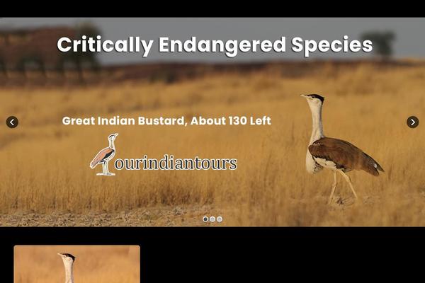 Site using WP Blog and Widget plugin