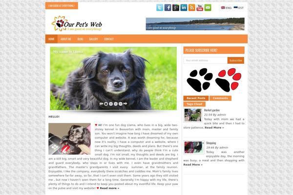 Site using WordPress Multicolor Subscribe Widget plugin