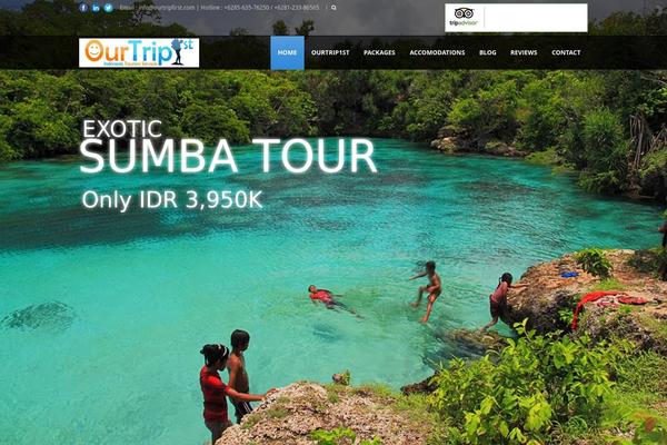 Tour Package V1.02 theme site design template sample