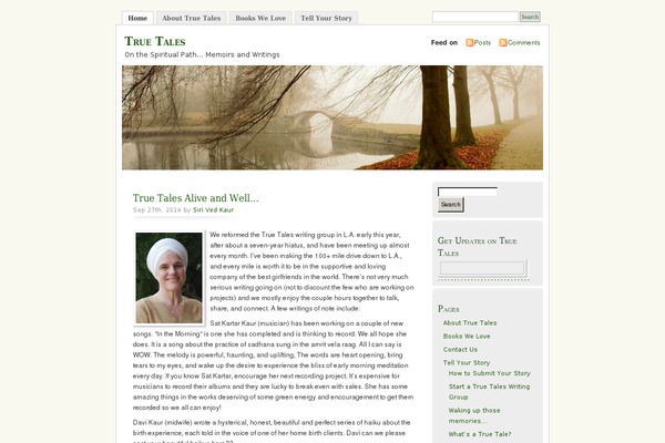 Misty Look theme site design template sample