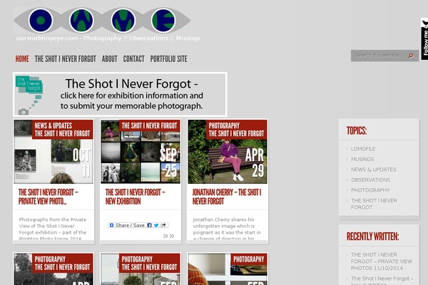 TheStyle theme site design template sample